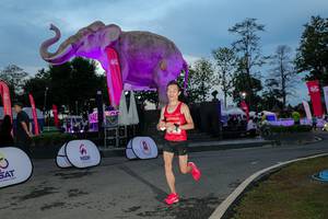 BIB: 
                            <button type="button" onclick="openModal(26529659)" class="btn btn-primary btn-sm float-right btn-popup" data-toggle="modal" data-target=".modal-high-quality">
                        <i class="fas fa-shopping-cart"></i> Add to Cart
                    </button>
                                            <button type="button" onclick="isThisMe(26529659, true)" class="btn btn-success btn-sm float-right btn-popup btn-isme hidden" data-toggle="tooltip" data-placement="bottom" title="นี่คือรูปของคุณใช่ไหม คลิกที่นี่เพื่อเอาเข้าอัลบั้ม">
                        <i class="fas fa-plus"></i> Add to album
                    </button>
                    <button type="button" onclick="isThisMe(26529659, false)" class="btn btn-warning btn-sm float-right btn-popup btn-isnotme hidden">
                        <i class="fas fa-ban"></i> Remove from album
                    </button>